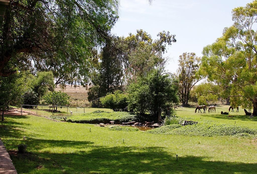 Garingboom Guest Farm Villa Springfontein Kültér fotó